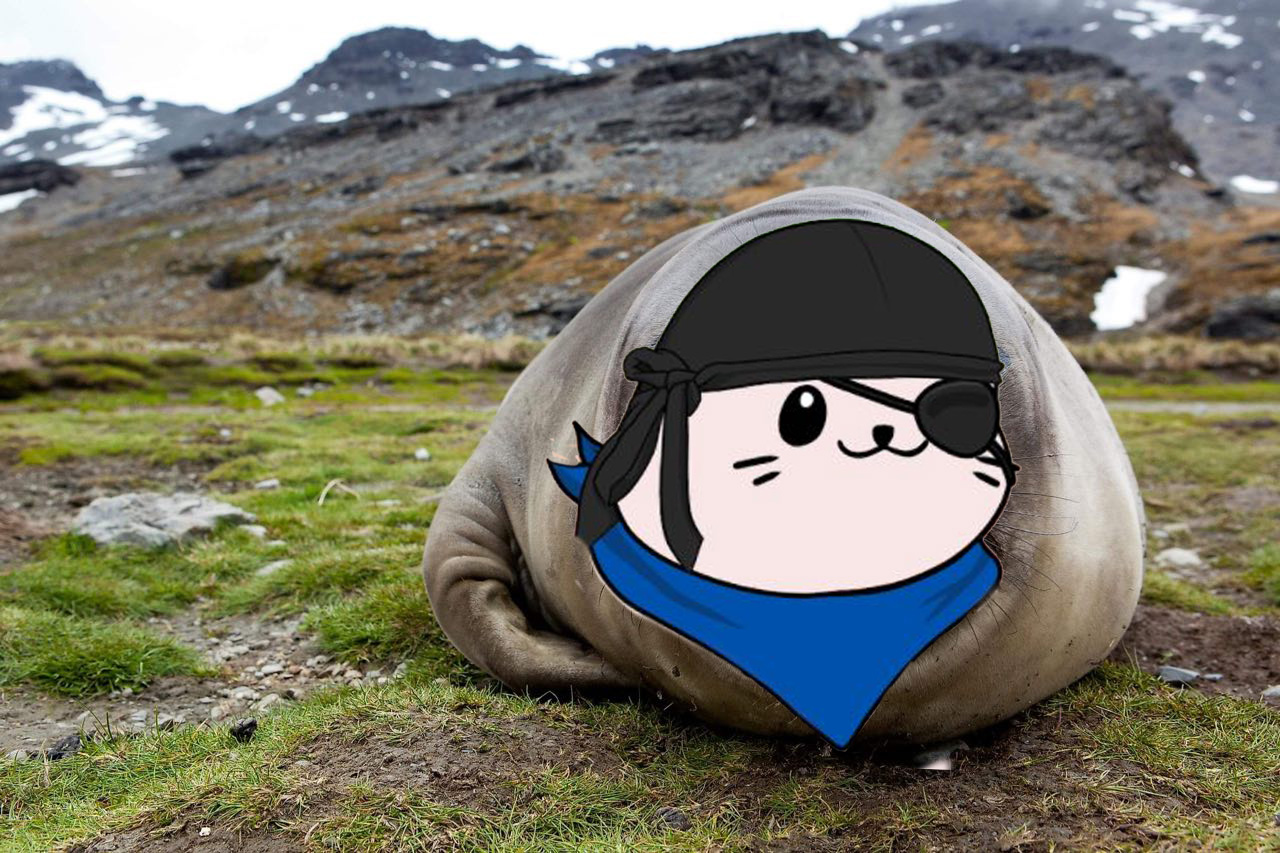 Sappy Seals: The Next Premium PFP NFTs - Airdrop Alert