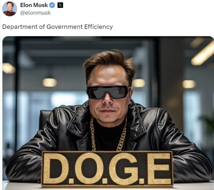D O G E Elon Musk
