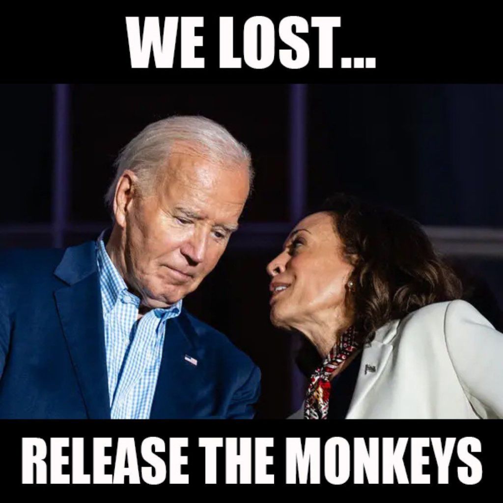 The Great Escaped Monkeys Meme Coin: A Crazy Story - Airdrop Alert